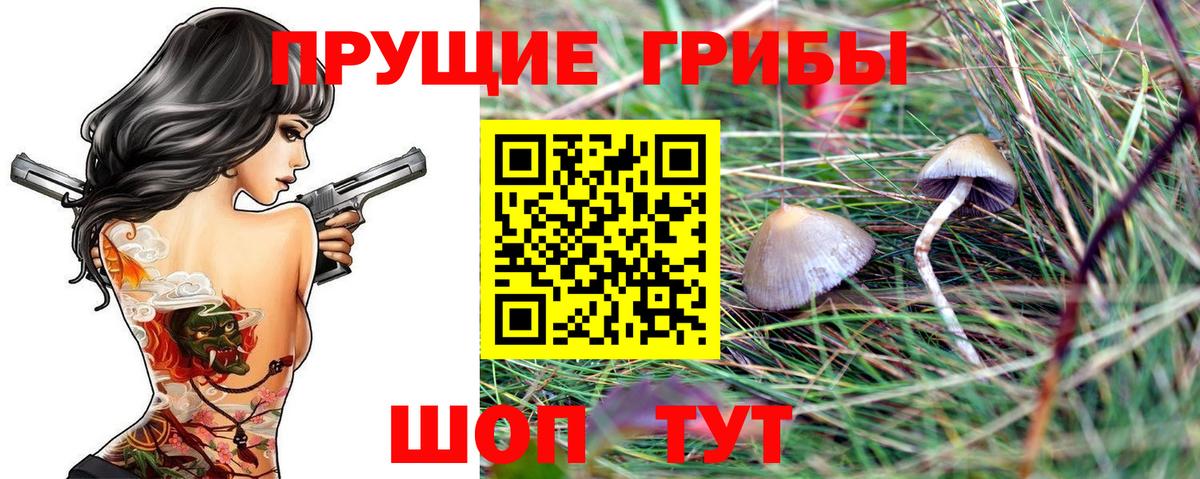 Галлюциногенные грибы GOLDEN TEACHER  Вход с VPN  купить  цена  Лянтор  Псилоцибиновые грибы мицелий 